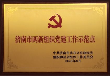 喜报｜云顶集团信息获评济南市两新组织党建示范点